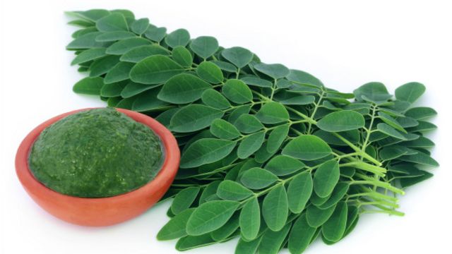 Moringa